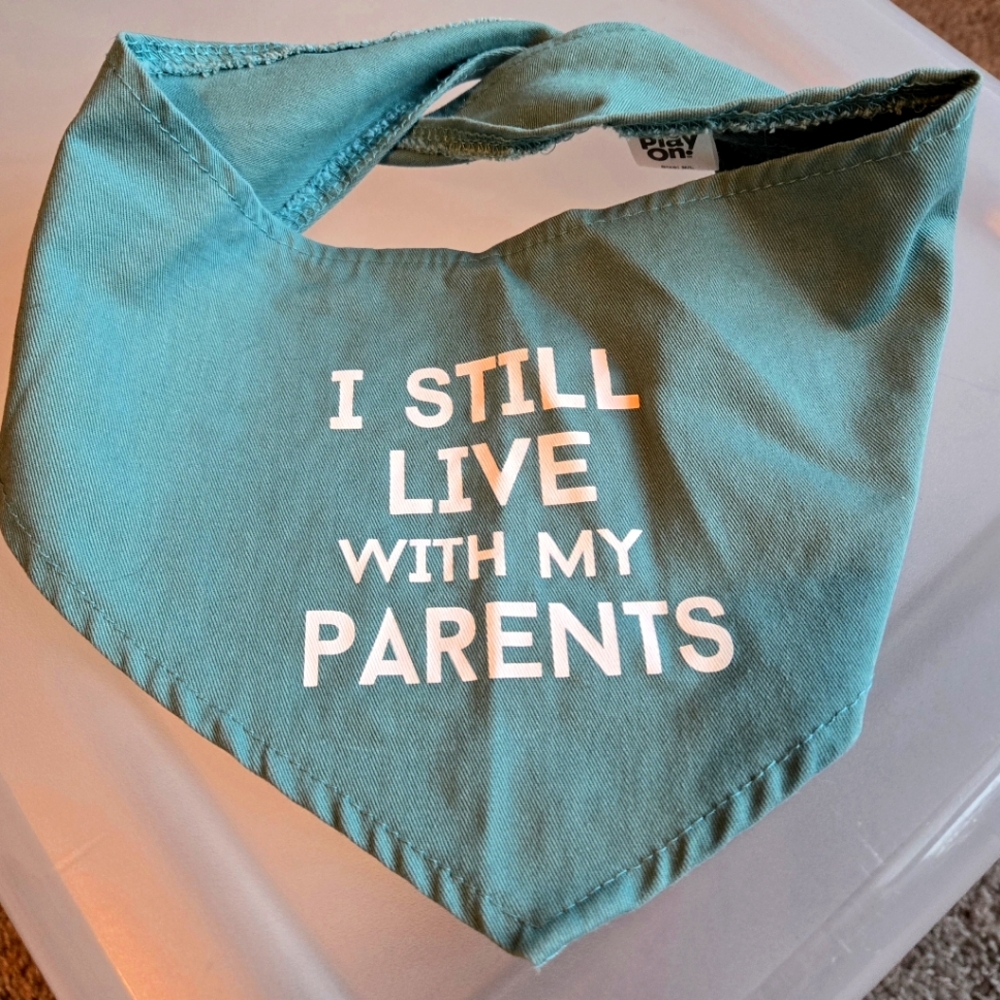 Funny Dog Bandana